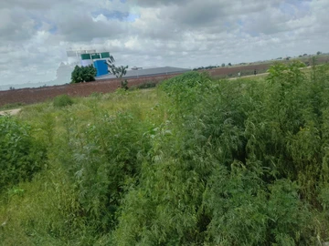 Commercial & Industrial Land