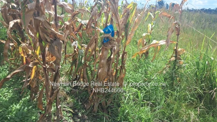 Manresa Residential Stand For Sale