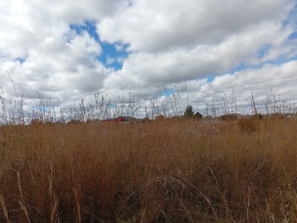 Commercial & Industrial Land