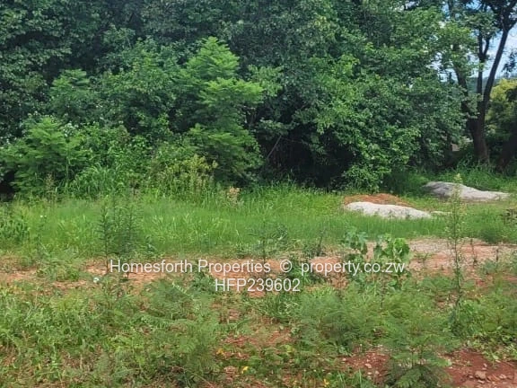 Great Opportunity!!!