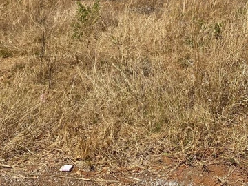 2855 m² Residential Land for Sale in Norton