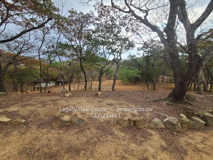 Prime 1.6-Hectare Plot for Sale in Christon Bank