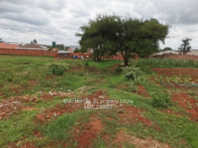 Ready to Build Stand