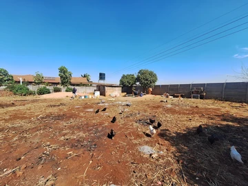 Stands & Residential Land