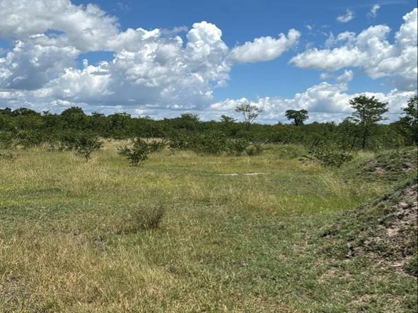 Farm & Agricultural Land