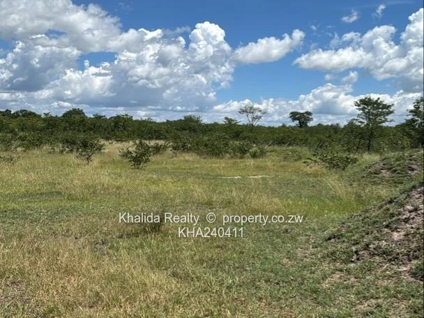 Kadoma Agro-residential plot