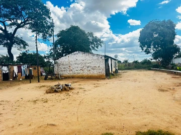 Farm & Agricultural Land