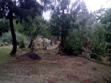 Farm & Agricultural Land