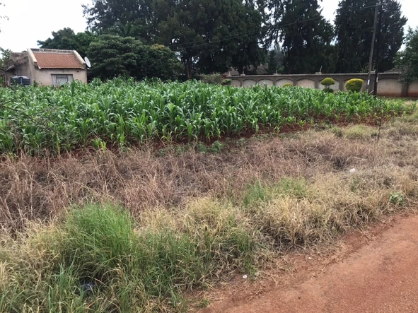 Stands & Residential Land