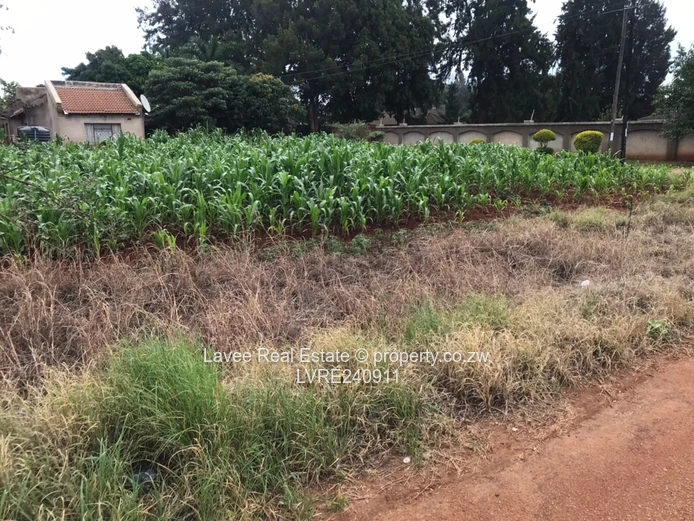 Space, Serenity, and Suburban Bliss on 3,100sqm in Mount Pleasant Heights