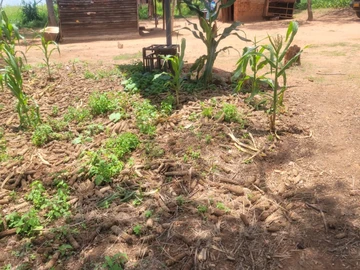 Farm & Agricultural Land