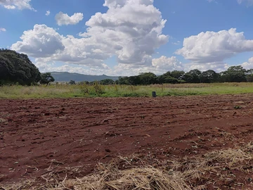 Farm & Agricultural Land