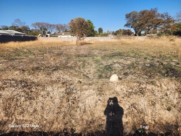 Stands & Residential Land