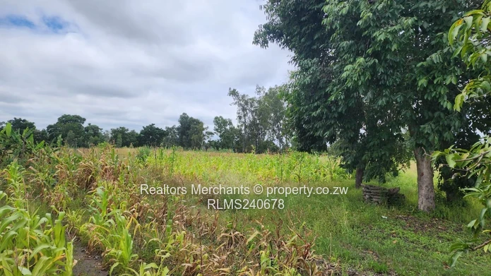 Waterfalls Uplands Stands 