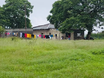 Farm & Agricultural Land