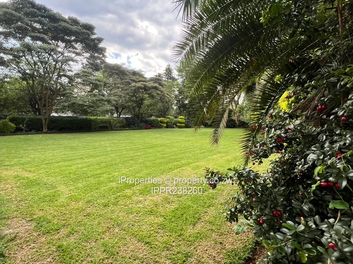 Spacious Family Home with Modern Finishes and a Cottage. (Sole Mandate)