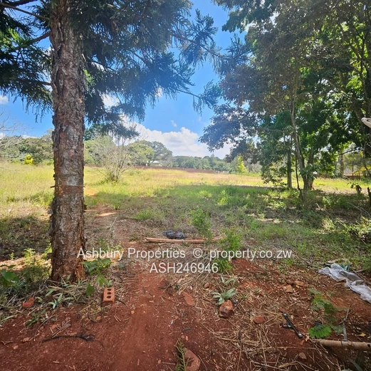 Prime Investment Opportunity in Mandara (Sole Mandate)