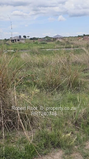 Nyabira Penrose (Sole Mandate)