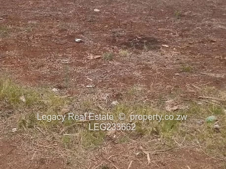 Prime 2,224?sqm Stand for Sale in Goodhope