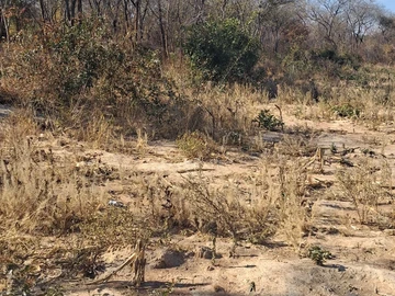 Farm & Agricultural Land