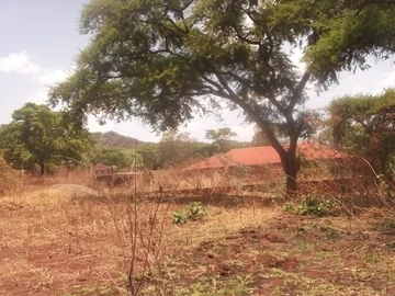 Lovely Vacant Stand
