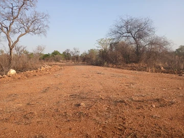 Stands & Residential Land