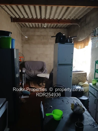 Nkulumane1260