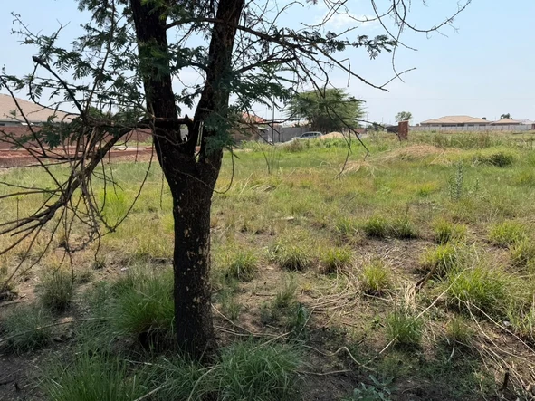 Stands & Residential Land