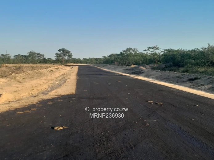 Plumtree Stands for sale