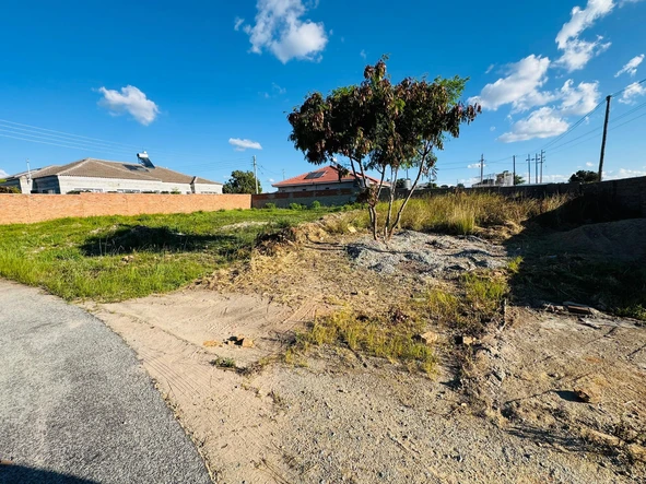 Stands & Residential Land