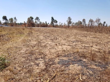 Commercial & Industrial Land