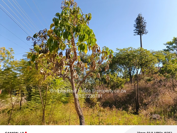 Awesoment investment