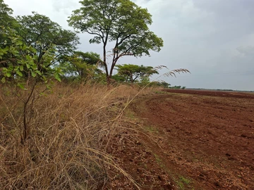 Farm & Agricultural Land