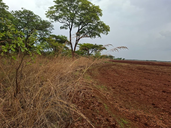 Farm & Agricultural Land