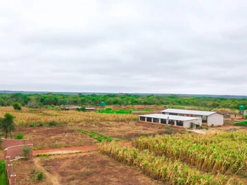 Farm & Agricultural Land