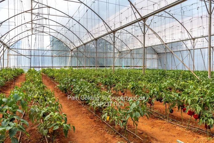 Luxury Character  Family Home!!!!!!! (Sole Mandate)