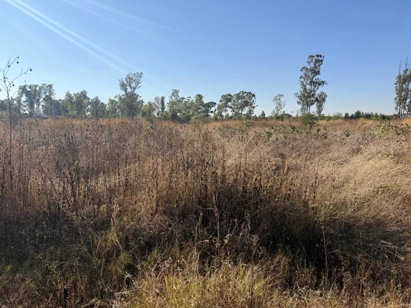 Commercial & Industrial Land