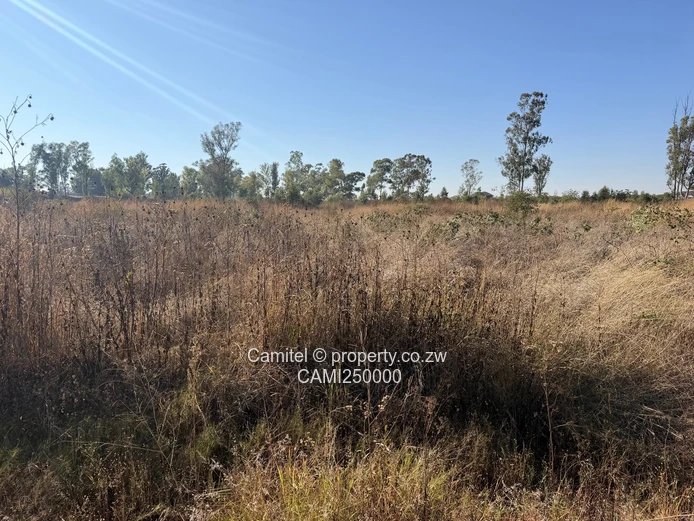 4000 sqm Serviced Industrial Land, Haydon Park - Tarred Road