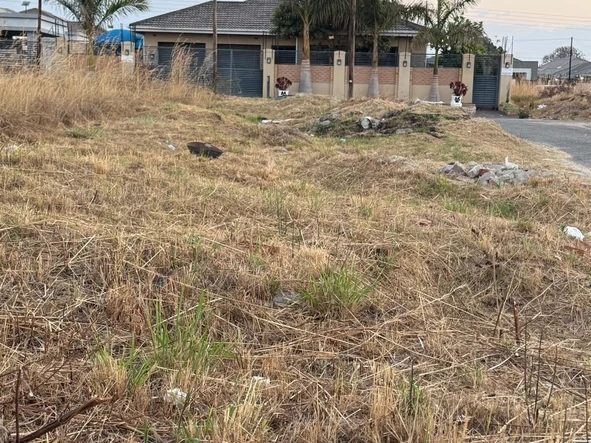 Stands & Residential Land