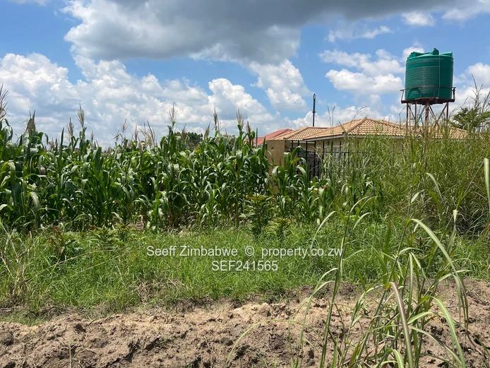 Vacant stand in Manresa (Sole Mandate)