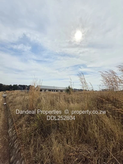 A choice of 3 stands. 2000 sqm Pomona Stand on Paved Road with Drainage