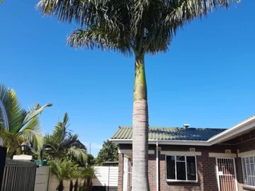 3 Bedroom Townhouse Complex