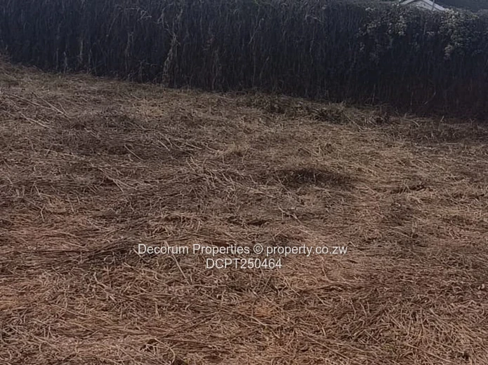 Prime 968m² Residential Stand for Sale in Quinnington, Borrowdale