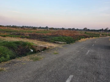 Stands & Residential Land