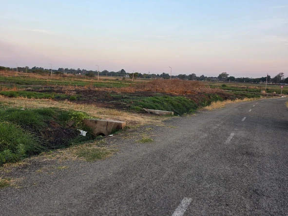 Stands & Residential Land