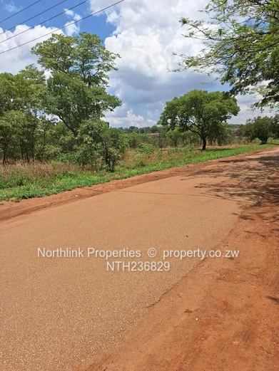 Vacant residential stands 