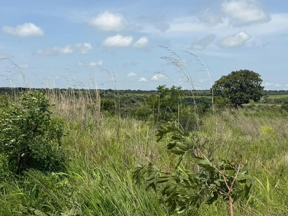 Land