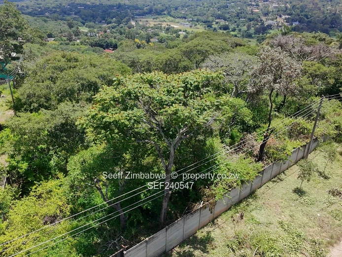 New Listing. Expansive Residential Land In Glen Lorne (Sole Mandate)