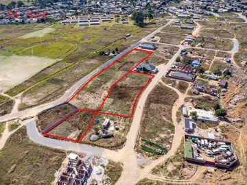 Stands & Residential Land