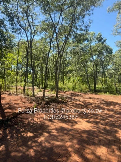 41 Hectares of Prime Land in Borrowdale Brooke Area with Endless Development Potential